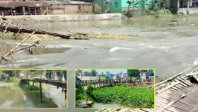 &lsquo;কচুরিপানার চাপে&rsquo; ভাঙল ৩ ব্রিজ, ভোগান্তিতে ৭ লাখ মানুষ