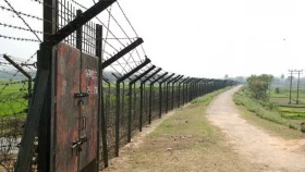 ঠাকুরগাঁও সীমান্তে বিজিবির হাতে বিএসএফ সদস্য আটক