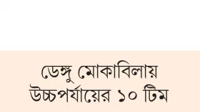 ডেঙ্গুতে ২৩ দিনে অর্ধশত মৃত্যু