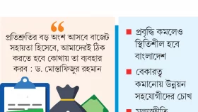 ঋণের সুফল পেতে চাই শৃঙ্খলা