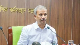বিমানবন্দরে ভিআইপি সার্ভিস পাবেন রেমিটেন্স যোদ্ধারা: আসিফ নজরুল