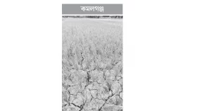 বৃষ্টির অভাবে আমন ধানের জমি ফেটে চৌচির