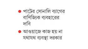 পলিথিনের জুতসই বিকল্পের সন্ধান