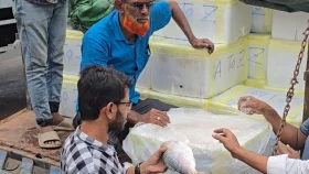 ১২০০ টাকা কেজি মূল্যে ভারতে গেল ইলিশের প্রথম চালান