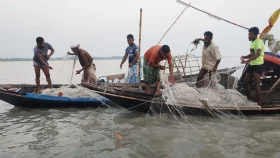 ইলিশের ভরা মৌসুমেও হাসি নেই জেলেদের মুখে