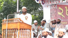 না খেয়ে থাকব, তবুও ভারতে ইলিশ পাঠাতে দেব না: মামুনুল হক