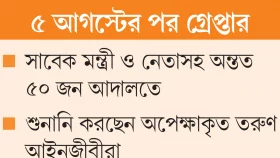 এখন আইনজীবী মিলছে কিন্তু...