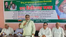 দুর্গাপূজা নিয়ে কোনও ষড়যন্ত্র সফল হবে না: প্রিন্স