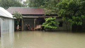 টানা বৃষ্টি আর পাহাড়ি ঢলে ময়মনসিংহের দুই উপজেলা প্লাবিত