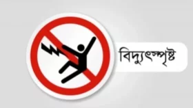 ফুলবাড়িয়ায় বিদ্যুৎস্পৃষ্টে যুবকের মৃত্যু