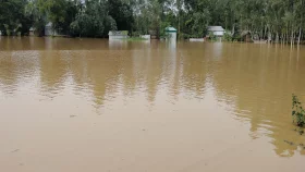 শাশুড়িকে বাঁচাতে গিয়ে প্রাণ গেল জামাতার