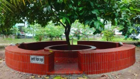 ঢাবির সূর্যসেন হলে &lsquo;জুলাই বিপ্লব চত্বর&rsquo; নির্মাণ &nbsp;