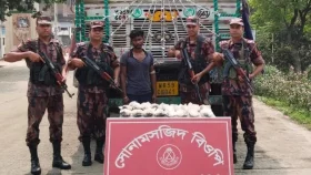 চাঁপাইনবাবগঞ্জে ইলিশমাছ ও ট্রাকসহ ভারতীয় নাগরিক আটক