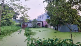 রাজবাড়ীতে পানিবন্দি শতাধিক পরিবার