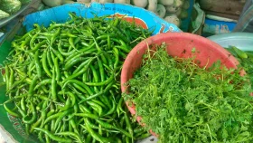 ধনে পাতার কেজি এখন ১০০০!