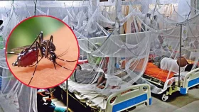 চলতি বছর একদিনে ডেঙ্গুতে সর্বো&zwnj;চ্চ মৃত্যু
