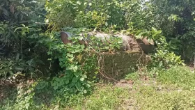 চাল দিচ্ছে বন্ধ কল!
