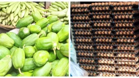 বাজার নিয়ন্ত্রণে অভিযান, ভোক্তা-দোকানিদের চোর-পুলিশ খেলা
