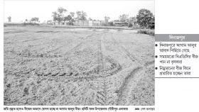 টাকা দিয়েও ভালো বীজ পাচ্ছেন না কৃষক
