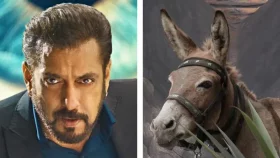 গাধাকে আটকে রেখে মনোরঞ্জন, ফের বিতর্কে সালমান!&nbsp;