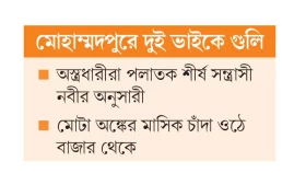 নেপথ্যে বাজার দখলচেষ্টা