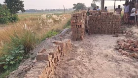 সরকারি রাস্তার ইট তুলে বিক্রি