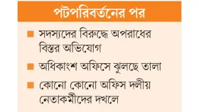 ছন্নছাড়া কমিউনিটি পুলিশিং