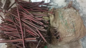 রাবিতে শ্রেণিকক্ষ থেকে ১৪৭ কেজি তামা উদ্ধার&nbsp;