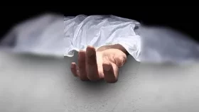 আনোয়ারায় বন্যহাতির আক্রমণে বৃদ্ধার মৃত্যু&nbsp;