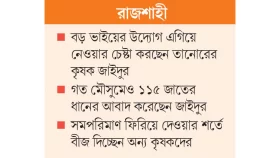 হারানো ধানের জাত ফেরানোর লড়াই