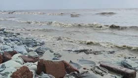 পটুয়াখালী উপকূলে বৃষ্টি-দমকা হাওয়া, উত্তাল সাগর