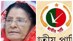 বিলীনের শঙ্কায় রওশনের জাপা