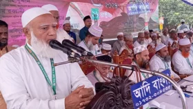 ফ্যাসিবাদ মুক্তি আন্দোলনের কোনও একক মাস্টারমাইন্ড নেই: জামায়াত আমির