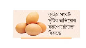 সরবরাহ কম ফের ডিমে শঙ্কা