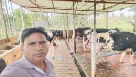 &lsquo;পুলিশের পোশাক&rsquo; পরে খামারের গরু লুট