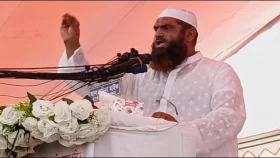 দ্রুত জাতীয় নির্বাচন দিয়ে ক্ষমতা হস্তান্তর করুন: মামুনুল হক