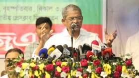 কয়েকজন উপদেষ্টার কথায় খটকা লাগে: মির্জা ফখরুল