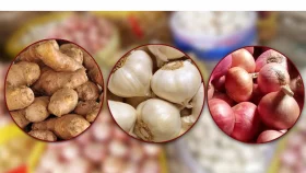 কুমিল্লায় আদা-রসুন-পেঁয়াজের দাম কমেছে