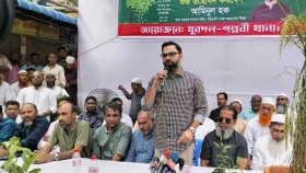গণতন্ত্রের জন্য আর রাজপথে নামতে হবে না: আমিনুল হক