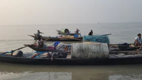 নিষেধাজ্ঞা শেষে পদ্মায় ইলিশ ধরতে নেমে হতাশ জেলেরা