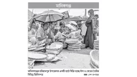 প্লাস্টিক পণ্যের আধিক্যে হুমকিতে বাঁশ-বেত শিল্প