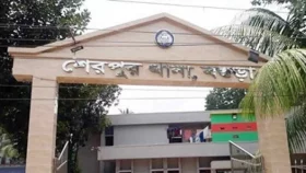 শেরপুরে জমি দখলের চেষ্টা, কাটা হলো ২০০ গাছ
