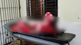 ভাতিজিকে ধর্ষণ করতে গিয়ে গোপনাঙ্গ হারালেন চাচা