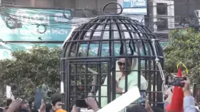শোভাযাত্রায় দেখা মিলল শেখ হাসিনার খাঁচায় বন্দি দৃশ্য