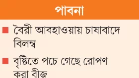 মুড়িকাটা পেঁয়াজের ফলনে শঙ্কা