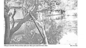 খাল ভরাট-দখলে জলাবদ্ধতা পানিবন্দি ২০ হাজার মানুষ