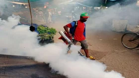 বেলাশেষে মশা মারতে দৌড়ঝাঁপ