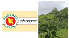 কক্সবাজারে বঙ্গবন্ধু অ্যাকাডেমি স্থাপনের ৭০০ একর বনভূমির বন্দোবস্ত বাতিল