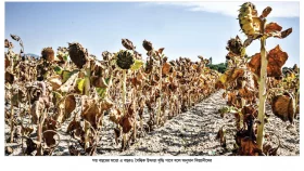 ইতিহাসের সবচেয়ে উষ্ণ বছর!