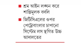 পেট্রোবাংলার বিরুদ্ধে আদালতে গিয়ে বিপাকে কর্মকর্তা
